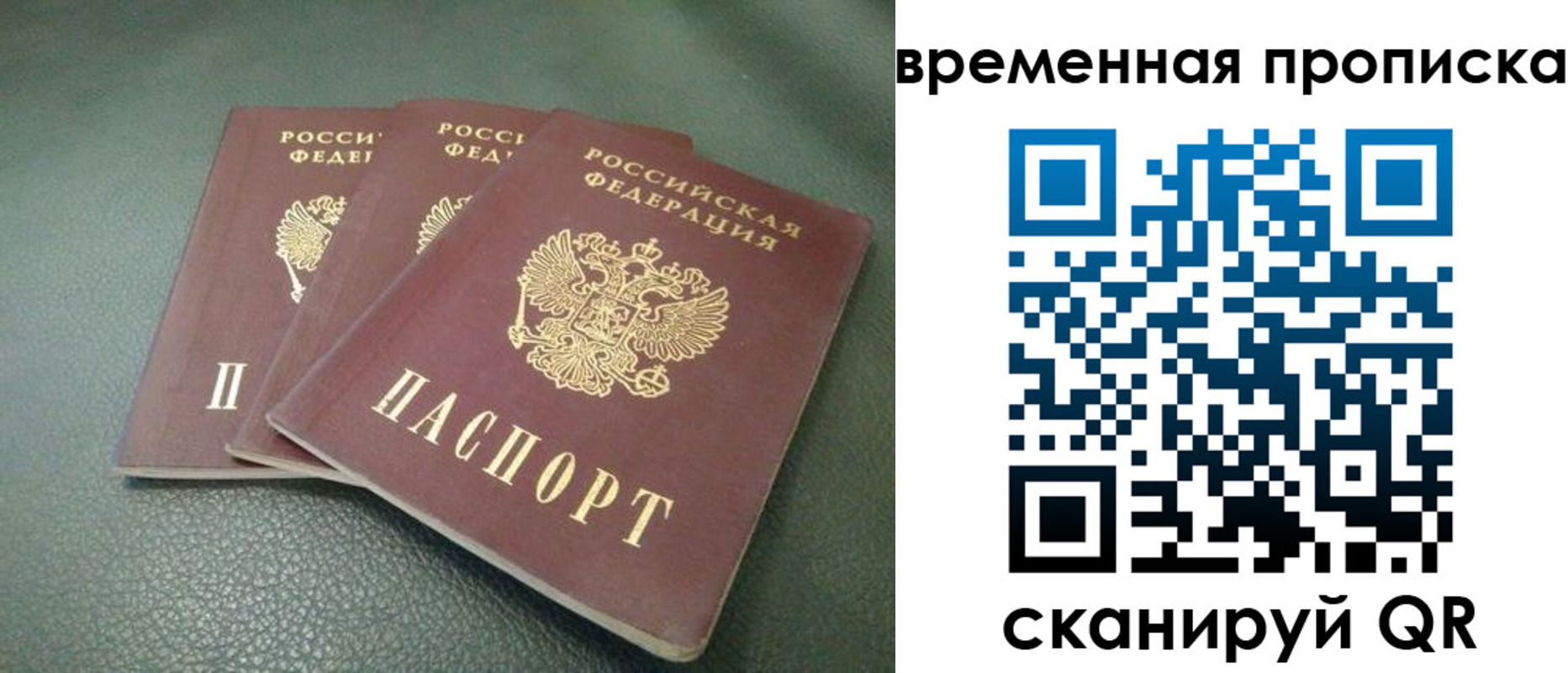 прописка гарантия в Каргате